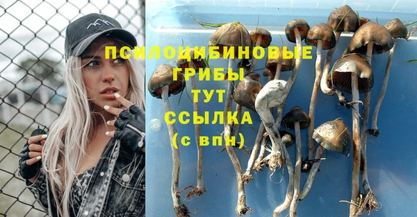 амф Бугульма