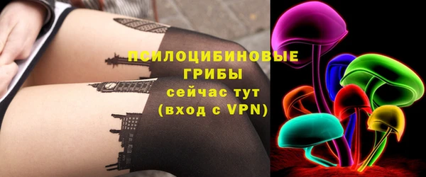 2c-b Верхний Тагил