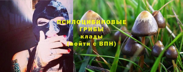 амф Бугульма