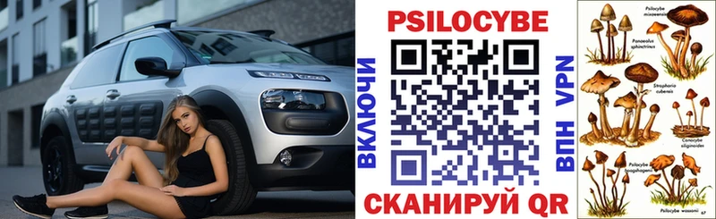 Галлюциногенные грибы прущие грибы  купить наркотики цена  hydra ТОР  Ростов 