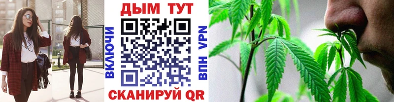 Конопля гибрид  Ростов 